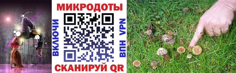 Псилоцибиновые грибы GOLDEN TEACHER  мега зеркало  Саяногорск 